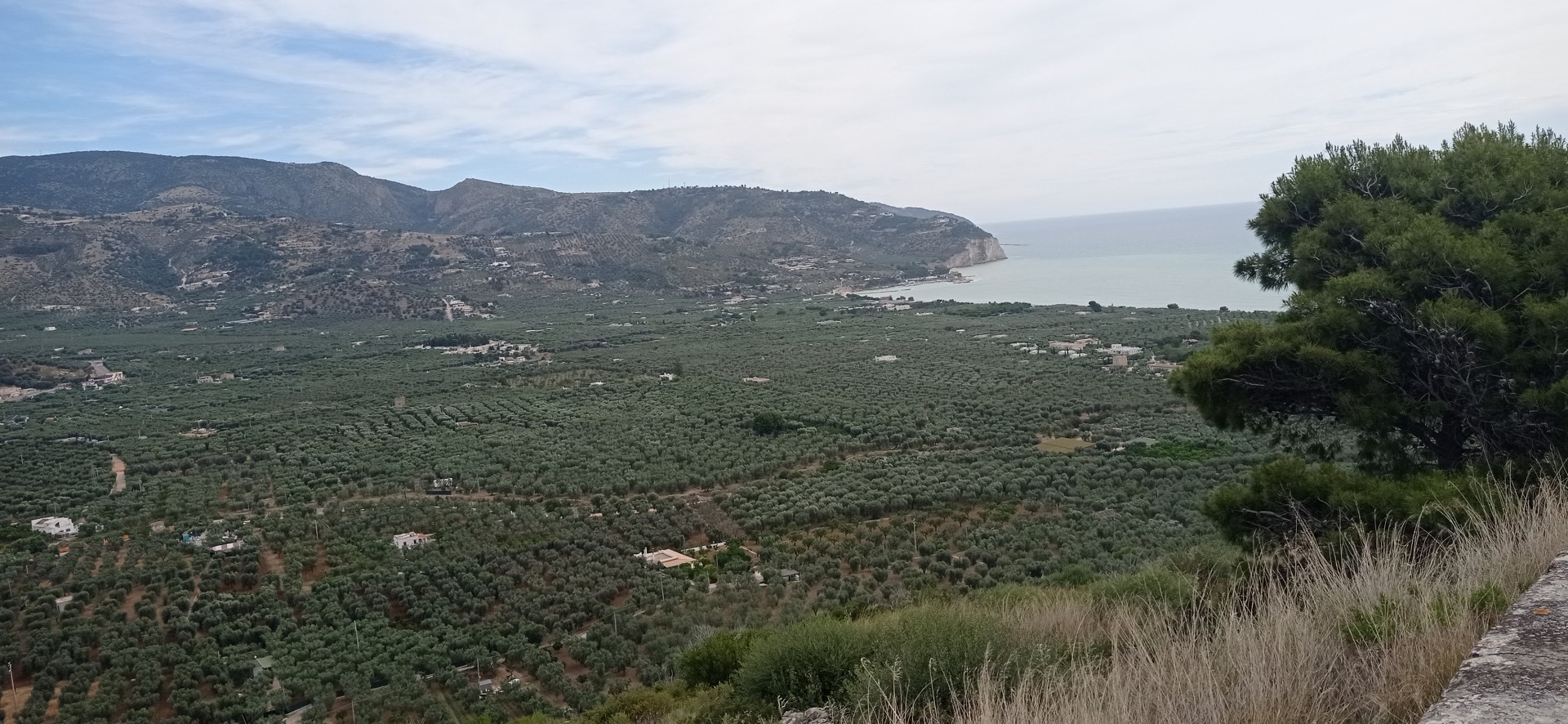 Img 20240601 094707