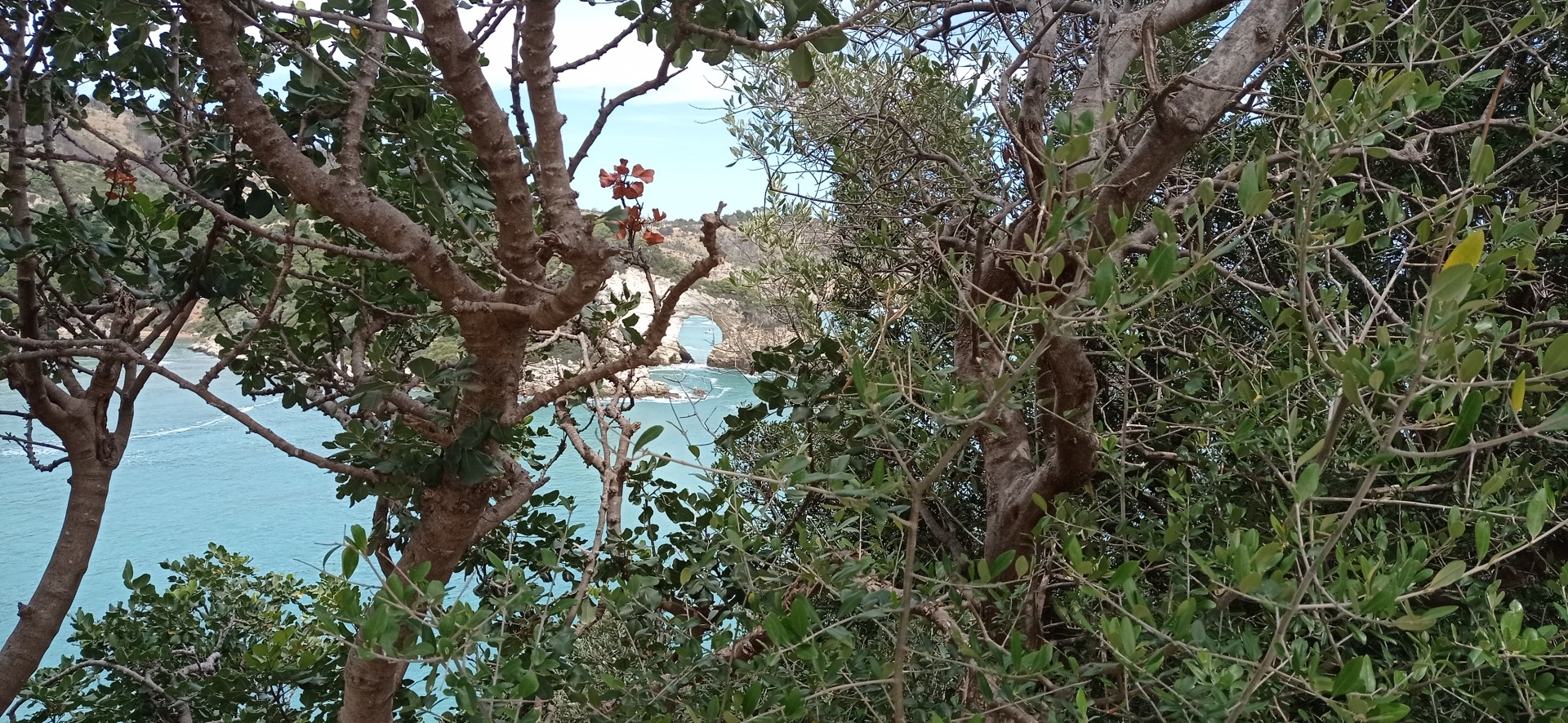Img 20240601 105522