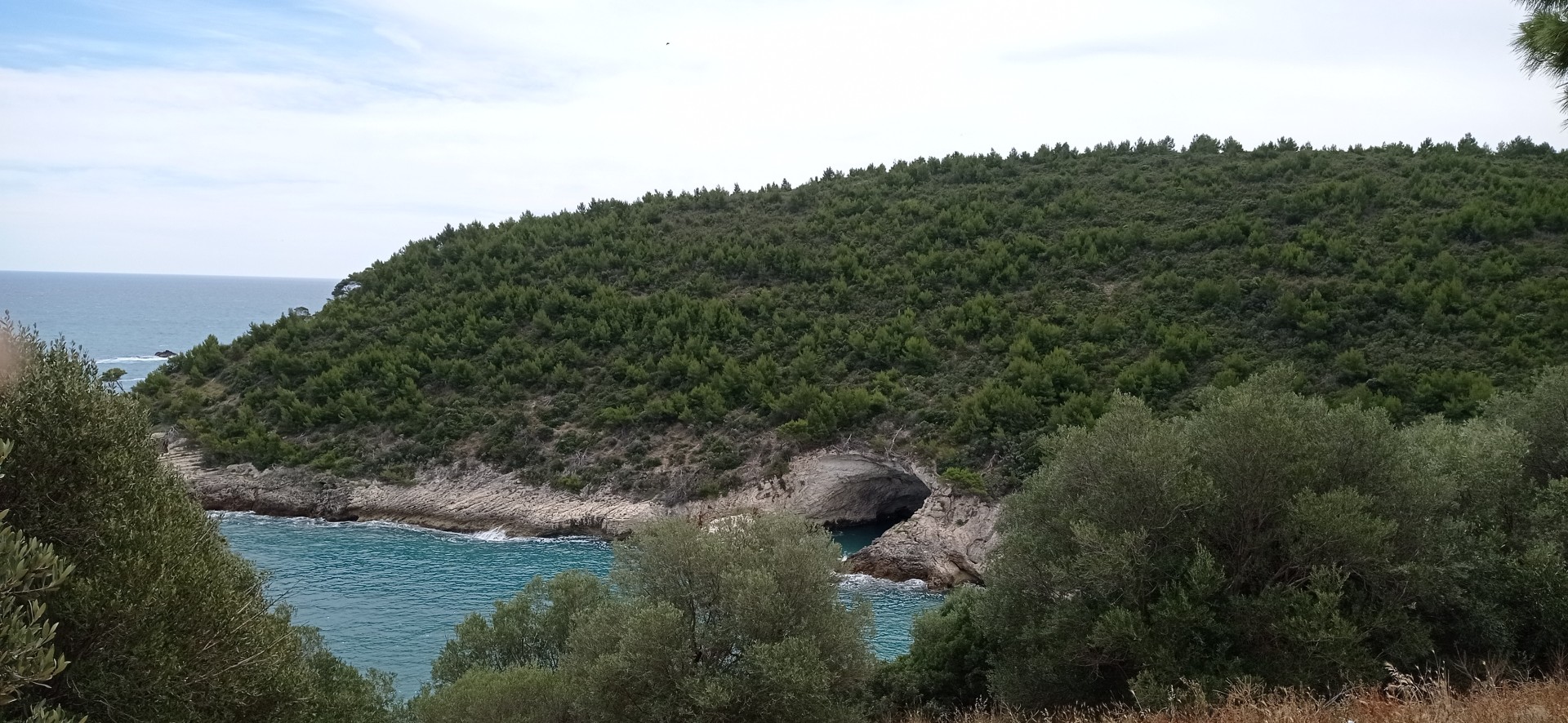 Img 20240601 110002
