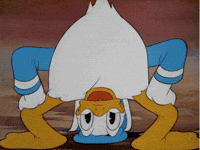 0 donald fou