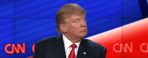 0 donald se trompe