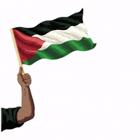 0 free palestine