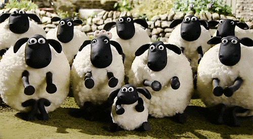 0 sheep