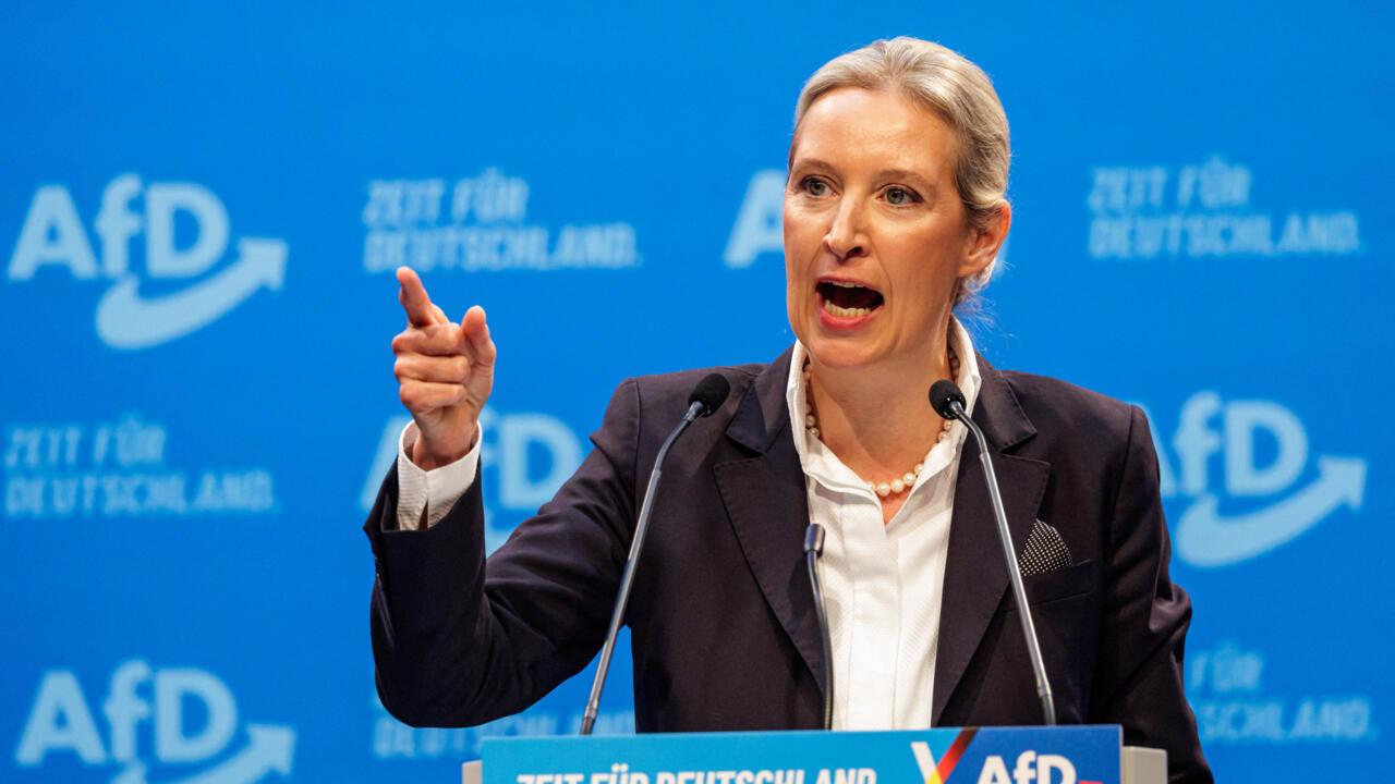 Alice weidel