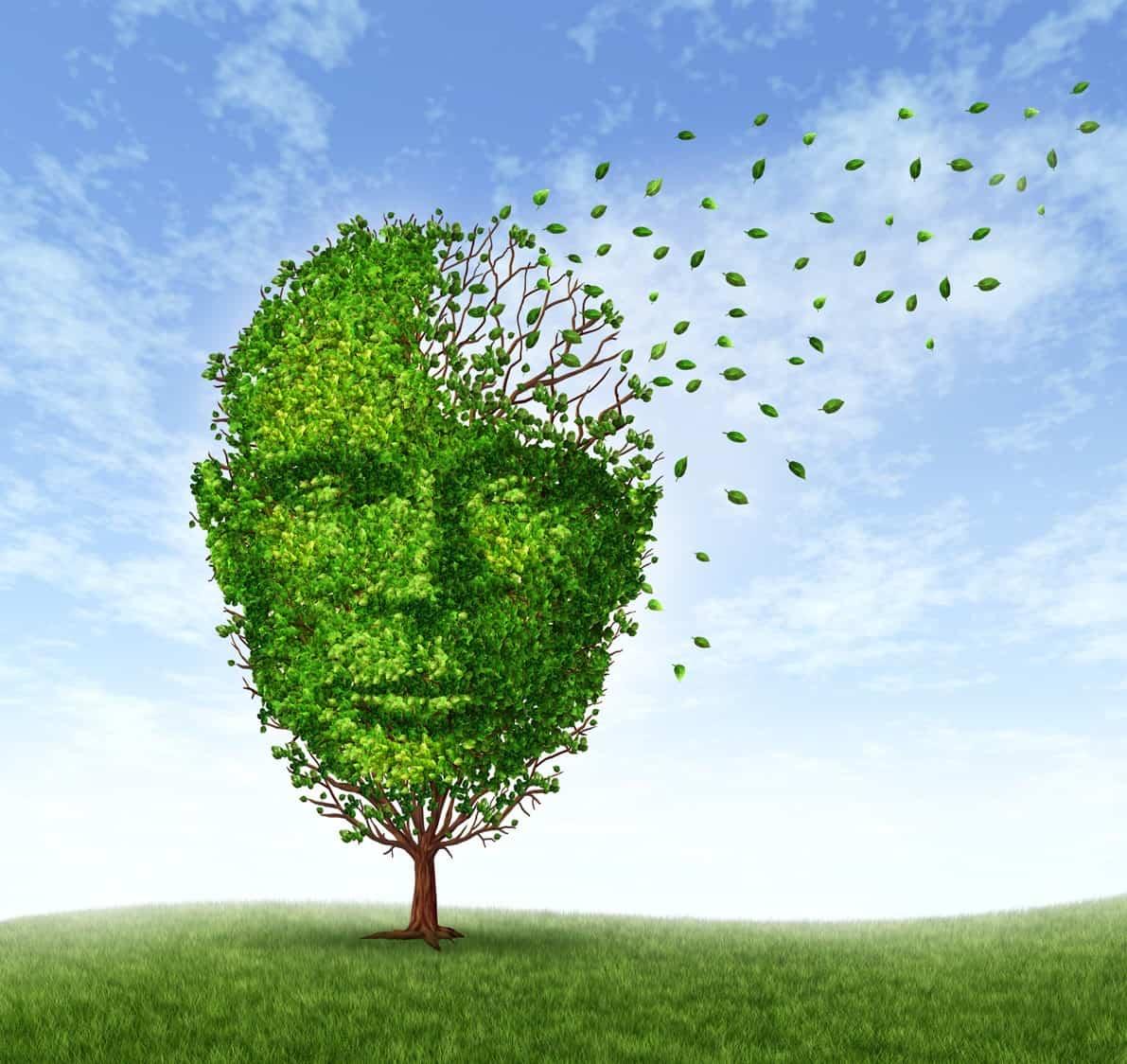 Alzheimer brain concept 2