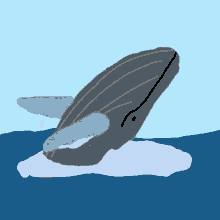 Baleine2