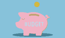 Budget2