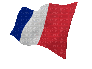 Drapeau anime francais