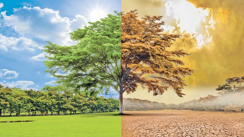 Effets climat3