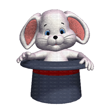 Lapin chapeau