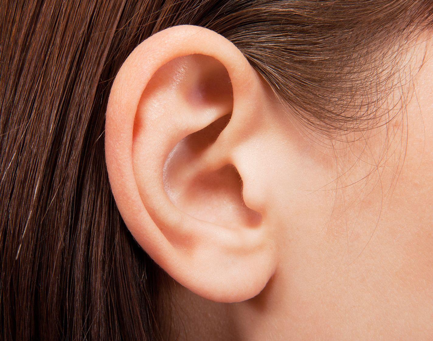 Oreille