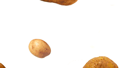 Pommes de terre animees