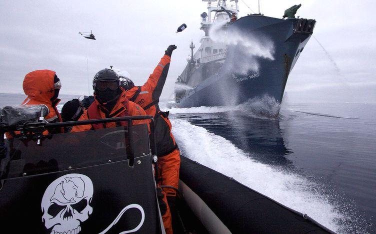 Sea shepherd