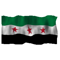 Syria free syria