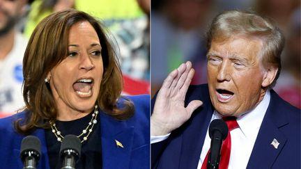 Trump harris